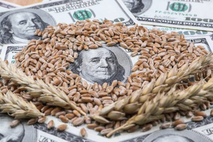 Украина разозлила жителей Восточной Европы