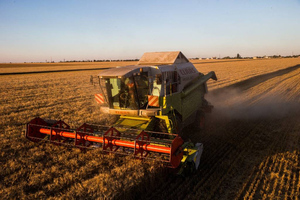 России предрекли рост геополитического влияния из-за ухода западных зернотрейдеров