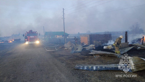 Природный пожар на Урале охватил десятки домов