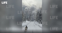 Появилось видео побега группы лесорубов от зловещего облака пепла с "камчатского Везувия"