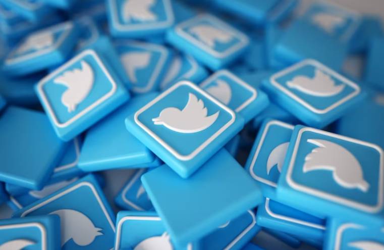 Хинштейн объяснил, почему разблокировать в России Twitter не получится