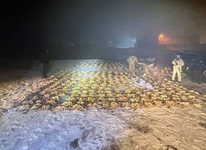 Наловили на миллионы рублей: На Сахалине поймали браконьеров с целой горой крабов