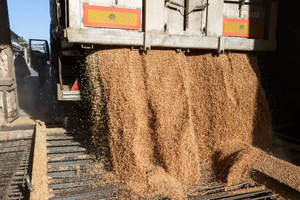 Лавров: РФ поставила на мировые рынки 23 миллиона тонн зерновых без помощи ООН