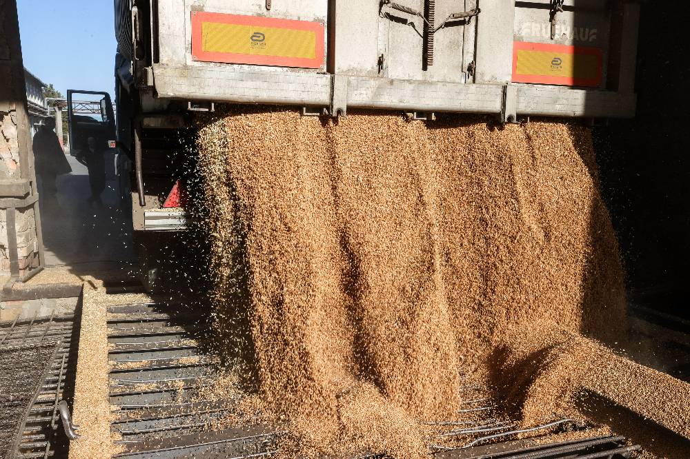 Лавров: РФ поставила на мировые рынки 23 миллиона тонн зерновых без помощи ООН