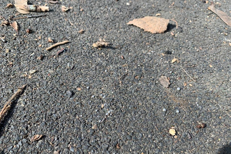 Обложка © VK / "Балашиха"