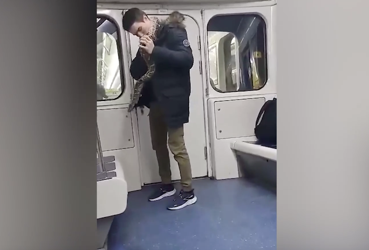 В Петербурге ищут парня, который выпустил удава в вагоне метро