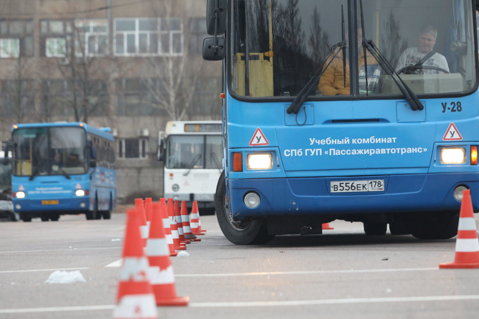 В Петербурге раскрыли причины нехватки водителей общественного транспорта