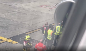 Пассажиры сняли на видео экстренную посадку самолёта из-за стаи голубей в турбине