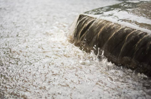 Украине предсказали новую проблему с ущербом в сотни миллионов гривен