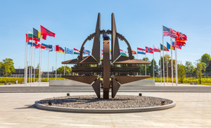В Госдуме возложили на НАТО вину за денонсацию Договора об обычных вооружённых силах в Европе