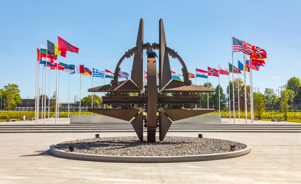 Президент Чехии: НАТО подумает о приёме Украины в альянс после завершения СВО