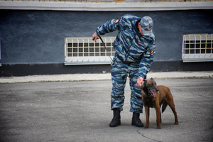 Жители Балашихи — о конфузе полицейских с поиском девочки: Они везде облазили, ребёнка не было