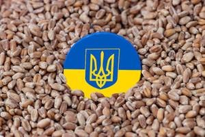 Европейцы взбесились из-за украинского зерна
