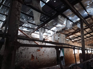 Белгородский губернатор сообщил о разрушениях в Новопетровке после обстрела ВСУ