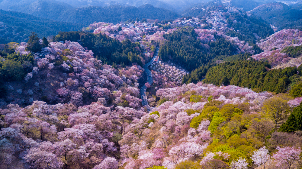 Горы Ёсино. Фото © Shutterstock
