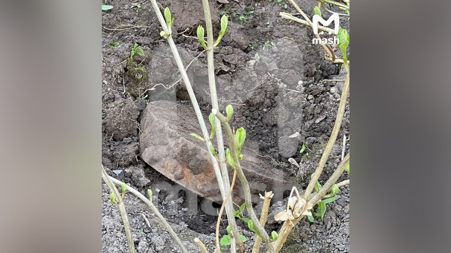 Мина в палисаднике у дома на набережной в Москве. Обложка © T.me / Mash