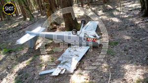 Ударный беспилотник UJ-22 Airborne с 17 кг взрывчатки упал в Подмосковье