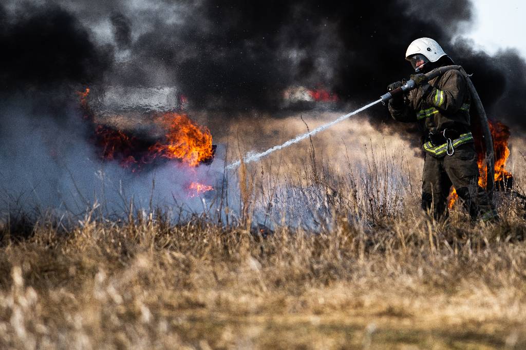 Губернатор Воробьёв поручил усилить пожарную безопасность в подмосковных лесах