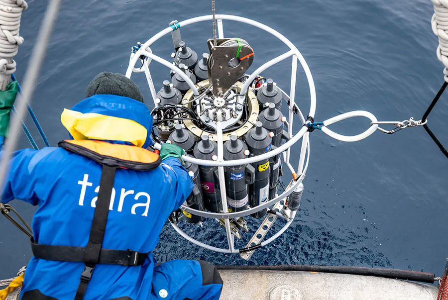 Экспедиция Tara Oceans. Фото © fondationtaraocean.org