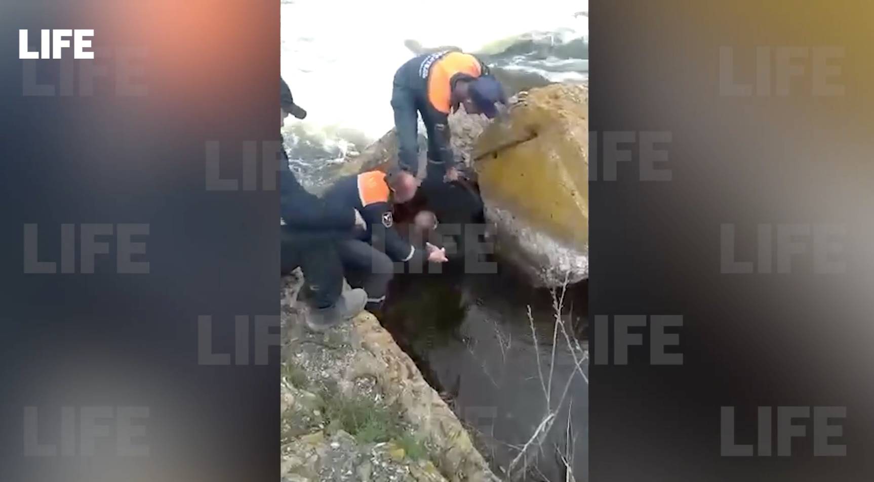 Под Ростовом спасатели выловили из реки 