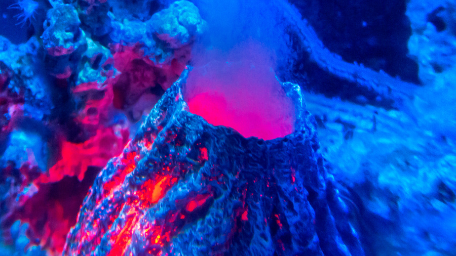 Подводный вулкан. Обложка © Getty Images / iStock