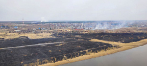 Путин поручил восстановить сгоревшее в уральских посёлках жильё до прихода холодов