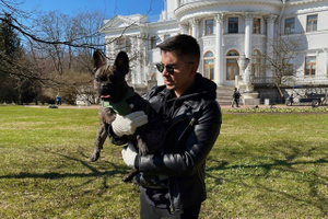 В центре Петербурга появится клуб любителей французских бульдогов