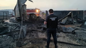 Разрушительный пожар в курганской деревне уничтожил более 100 строений и убил женщину