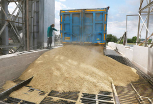 Песков: В Кремле видят мало поводов для оптимизма по зерновой сделке