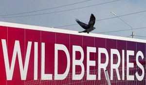 Хозяйка Wildberries на фоне скандалов заявила о желании сменить логотип