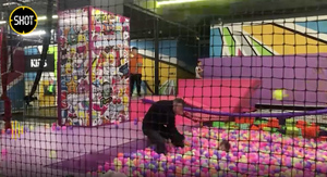 Москвич объяснил съёмку "педофила из батутного центра" вместо спасения трёхлетней дочки