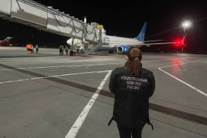 Самолёт столкнулся с птицами при посадке в Самаре