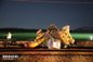 Пассажирский и грузовой поезда столкнулись в Нидерландах, есть пострадавшие. Фото © Twitter / regio15