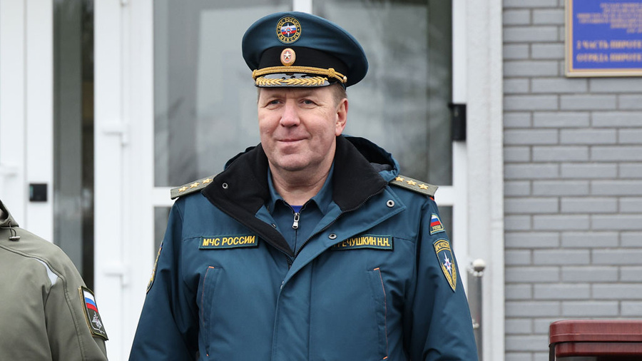 Генерал-полковник Николай Гречушкин. Фото © ТАСС / Михаил Терещенко