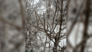 Ледяной дождь обрушился на Канаду и оставил без света почти миллион домовладений