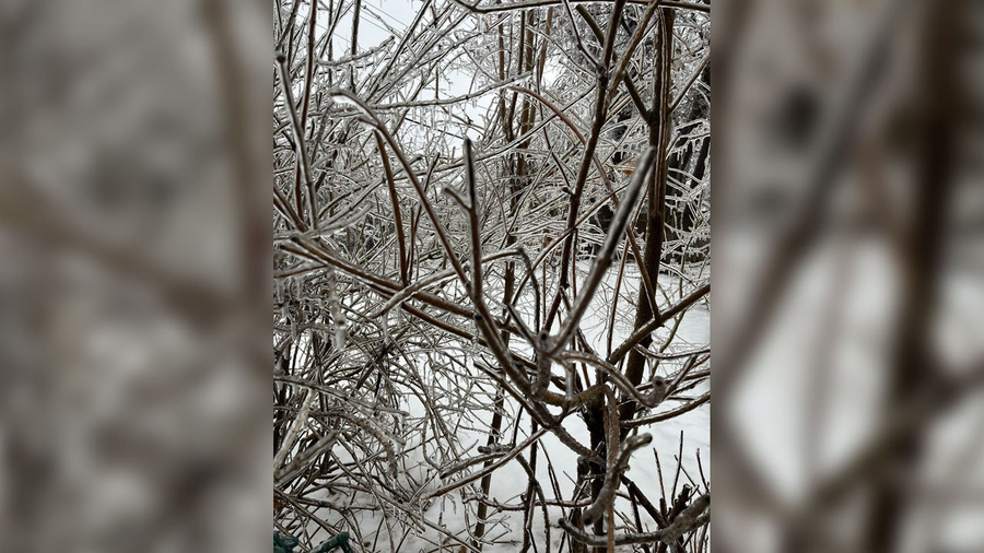 Ледяной дождь обрушился на Канаду и оставил без света миллион человек. Обложка © twitter / crownandpalette