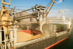 Очередная страна решила запретить импорт зерна с Украины