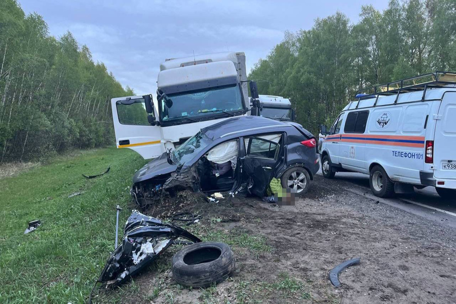 Кадр с места ДТП с четырьмя погибшими в Нижегородской области. Фото © VK / УГИБДД ГУ МВД России по Нижегородской области