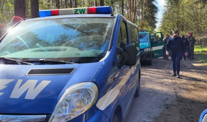 В Польше резко сменили риторику и приписали России упавшую "ракету-потеряшку"