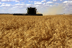 Экс-советник президента России выдвинул два условия для спасения зерновой сделки