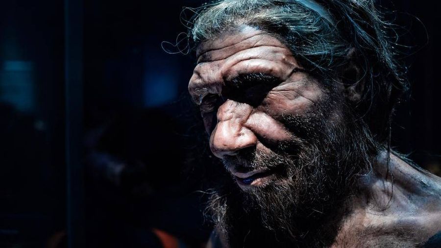 Ген налицо: Как понять по носу, что среди твоих предков были неандертальцы