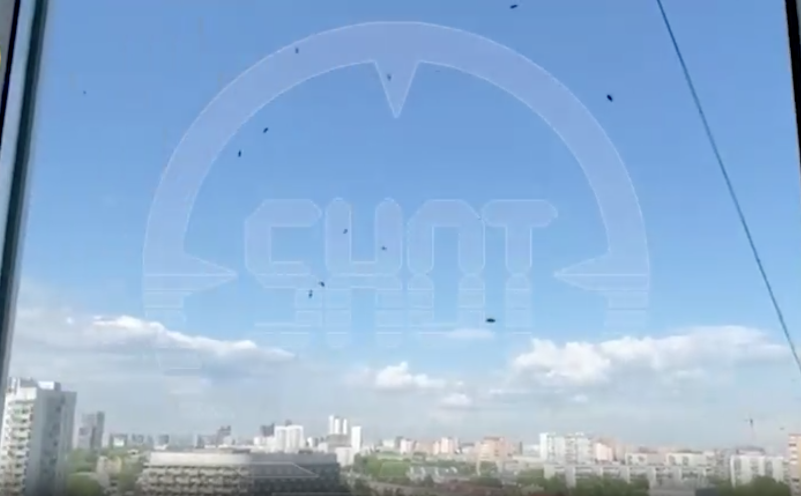 Москву после майского ливня атаковали полчища насекомых