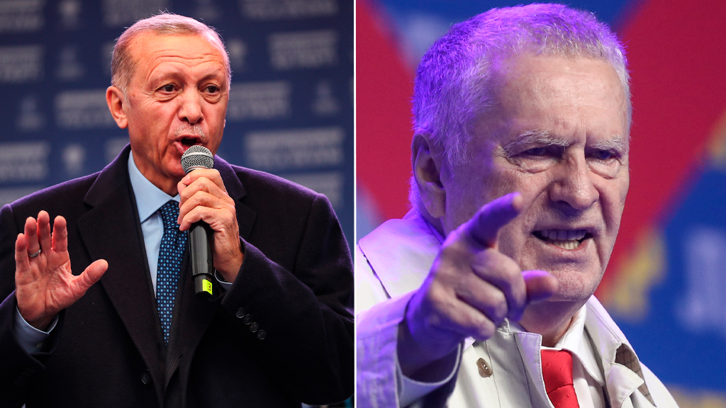 Востоковед объяснила, чем Эрдоган похож на Жириновского