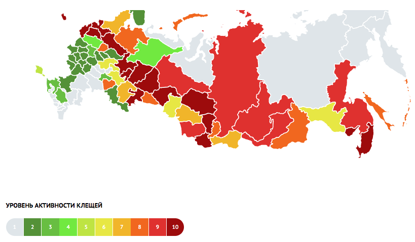 Карта распространения клещей, где красным и бордовым отмечены регионы России с наивысшим уровнем риска. Фото © biostop.org