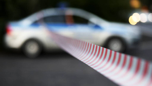 Друживший с зюзинской маньячкой следователь объяснил, почему мужчины убивают чаще