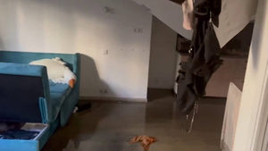 В Москве после пожара обнаружено тело женщины, есть версия о поджоге