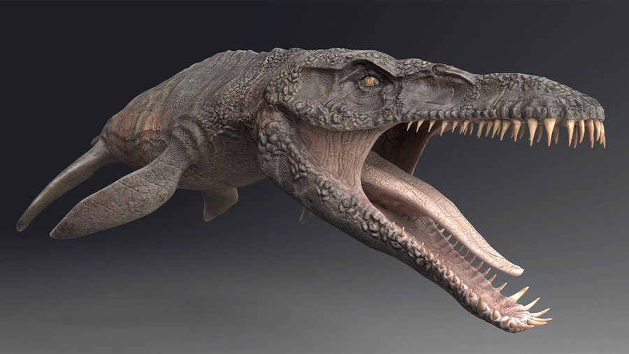 <p>Плиозавр в представлении художника. Обложка © Shutterstock</p>