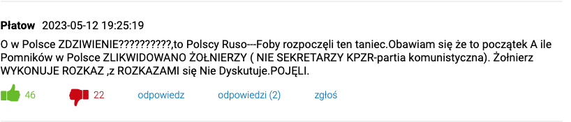 Скриншот © wiadomosci.dziennik.pl