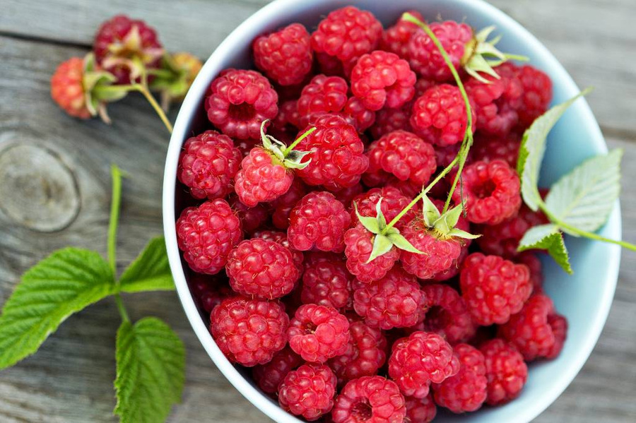 Какие проблемы со здоровьем могут вызвать любимые летние фрукты и ягоды? Фото © Freepik / fahrwasser  