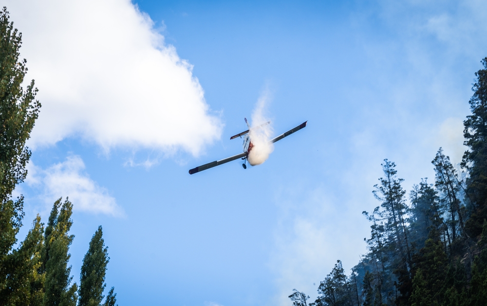 Самолёт Авиалесоохраны упал в Коми, люди на борту живы